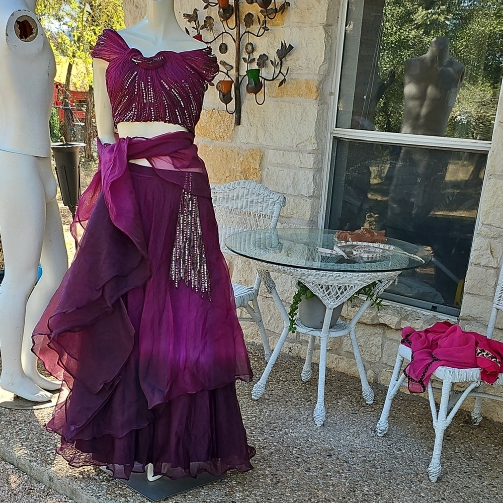 Gorgeous Middle Eastern Indian Bollywood Dress Crimson Rhinstones Belly Dancer